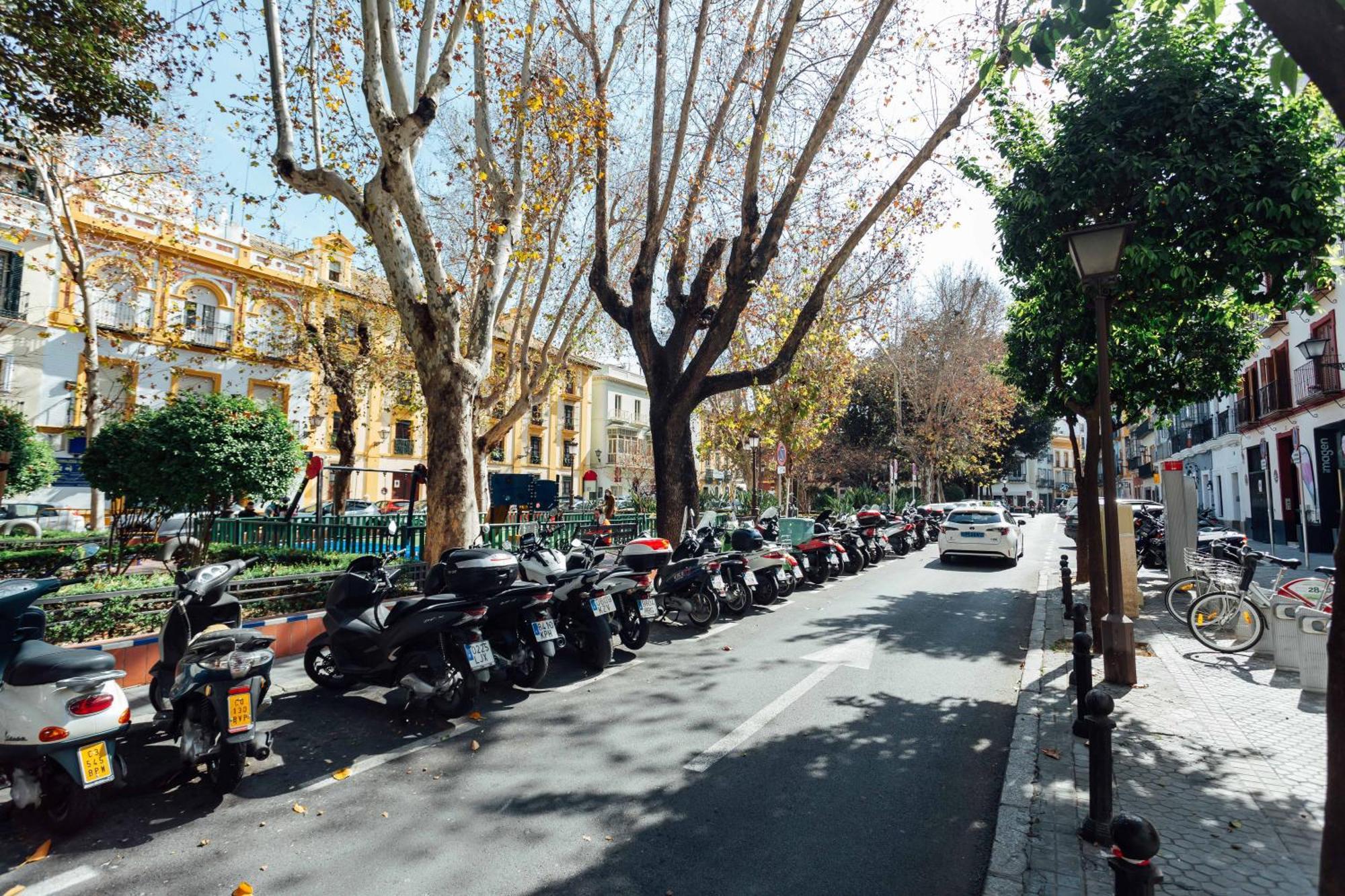 Luxury And Cozy- 1Bd 1Bth- Las Setas Seville Luaran gambar